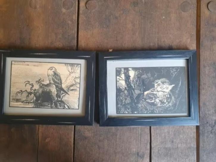 Jos Ruting 1930  zanglijster kiekendief briefkaart Houtsnede, Antiek en Kunst, Kunst | Etsen en Gravures, Ophalen