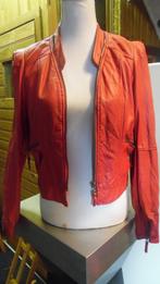rood jasje, Kleding | Dames, Ophalen of Verzenden, Zo goed als nieuw, Rood