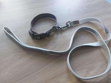 Nieuwe halsband met riem beschikbaar voor biedingen