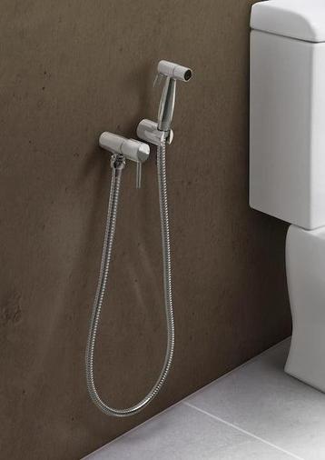 Bidetkraan / Handdouche Toilet laten zetten beschikbaar voor biedingen