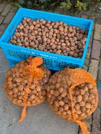 Walnoten te koop (uit eigen tuin), Diversen, Levensmiddelen, Ophalen