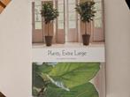 Plants, extra large, Verzenden, Zo goed als nieuw