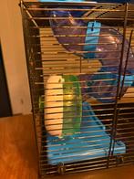 Hamsterkooi Zeno Blauw, Kooi, Minder dan 75 cm, Zo goed als nieuw, Ophalen