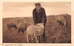De Schaapherder van Elspeet met zijn schapen 1932 Veluwe, Verzenden, Voor 1920, Gelopen, Gelderland