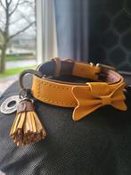 DWAM hondenhalsband - maat S - geel - Dog with a mission, Ophalen of Verzenden, Zo goed als nieuw