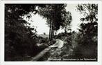 Koningsbosch – Landweggetje Echterbosch., Verzamelen, Ansichtkaarten | Nederland, Ophalen of Verzenden, 1940 tot 1960, Gelopen