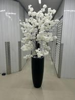 Zwart vaas met bloesem, Ophalen of Verzenden, Zo goed als nieuw