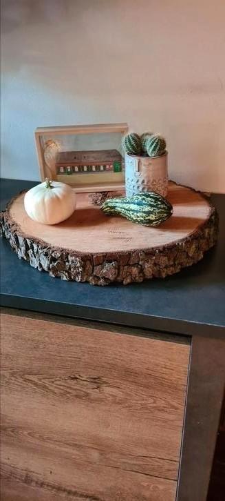 Boomstamschijven diverse maten, Huis en Inrichting, Woonaccessoires | Dienbladen, Zo goed als nieuw, Hout, Rechthoekig, Ophalen
