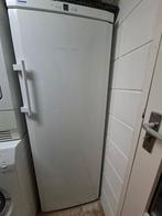 Vrieskast, Witgoed en Apparatuur, Vriezers en Diepvrieskisten, Ophalen, Gebruikt, Minder dan 60 cm, 160 cm of meer