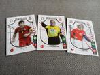 3x Lidl voetbal icoon kaartjes  | Pavel Nedved | Peter Schme, Verzamelen, Sportartikelen en Voetbal, Ophalen of Verzenden, Nieuw