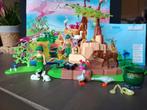 Playmobil Fairies: Genezende fee Elixia in dierenbos (5447), Ophalen of Verzenden, Zo goed als nieuw, Complete set