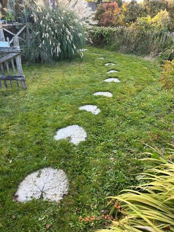 🍁Stapstenen🍁 cement bladvorm, hartvorm, beton staptegels beschikbaar voor biedingen