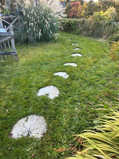 🍁Stapstenen🍁 cement bladvorm, hartvorm, beton staptegels, Tuin en Terras, Tegels en Klinkers, Nieuw, Overige typen, Beton, Ophalen
