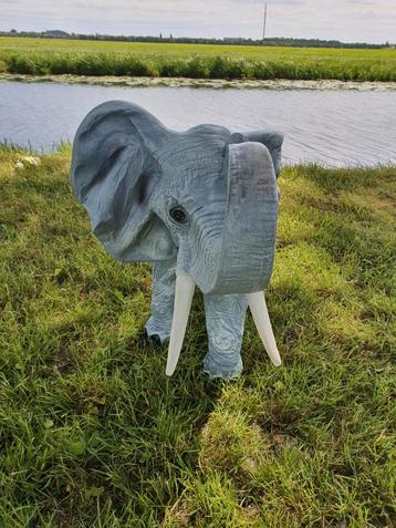 Olifanten beschikbaar voor biedingen