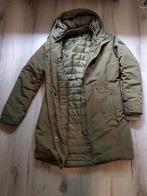 Legergroene winterjas L/XL van Wildebeast, Maat 42/44 (L), Ophalen of Verzenden, Zo goed als nieuw, Wildebeast
