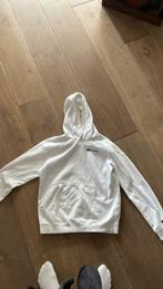 Champion hoodie, Kleding | Heren, Truien en Vesten, Ophalen of Verzenden, Zo goed als nieuw