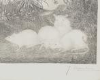 Ets Jan Mankes. 4 muisjes in het bos. zwart., Antiek en Kunst, Kunst | Etsen en Gravures, Ophalen of Verzenden