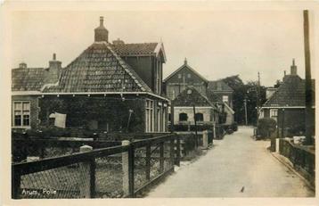 (380-270-025) Arum Polle beschikbaar voor biedingen