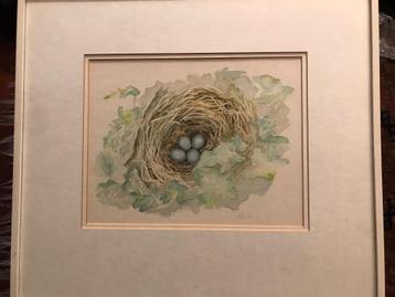 Marjolein Bastin  (Illustrateur bij Libelle) beschikbaar voor biedingen