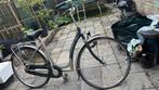 Pointer Damesfiets, Overige merken, Versnellingen, Ophalen of Verzenden, 53 tot 56 cm