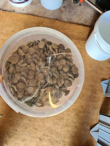 Algen wafels te koop  beschikbaar voor biedingen