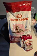 Hondenvoer 3 kg 10+, Ophalen, Hond