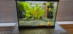 Aquarium met vissen en toebehoren, Dieren en Toebehoren, Ophalen, Zo goed als nieuw, Gevuld zoetwateraquarium