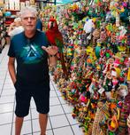 aras in diverse kleuren , soorten en maten, Dieren en Toebehoren, Vogels | Parkieten en Papegaaien, Meerdere dieren, Papegaai