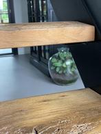 Traptreden oud eiken op maat | Robuust & stijlvol, Doe-het-zelf en Verbouw, Ladders en Trappen, Ophalen, Trap, Nieuw, W.A. Scholtenstraat 11