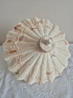 Paraplu, Ophalen of Verzenden, Pop