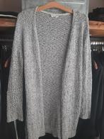 American Vintage vest Maat L, Kleding | Dames, Truien en Vesten, Ophalen of Verzenden, Zo goed als nieuw, Maat 38/40 (M), Grijs