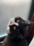 Kater, Kater, 0 tot 2 jaar