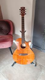 Prachtige gitaar Cort, Muziek en Instrumenten, Snaarinstrumenten | Gitaren | Akoestisch, Ophalen, Zo goed als nieuw, Western- of Steelstringgitaar