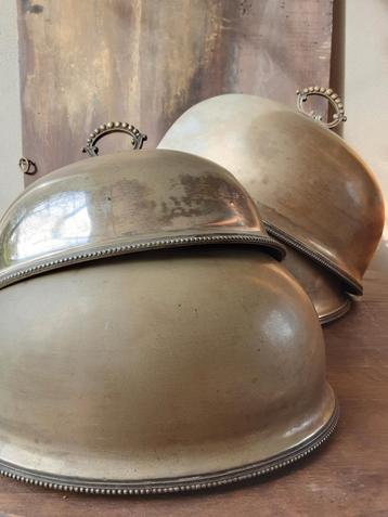 Cloches  beschikbaar voor biedingen
