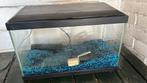 Aquarium met pomp, Ophalen of Verzenden, Zo goed als nieuw, Leeg aquarium