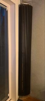 Thermic design radiator 2 stuks L 2.20 B 0.35 en D 0.11 cm, Ophalen, Gebruikt, Gas, Overige soorten