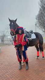 Droom jij van een eigen paard..?, Ophalen