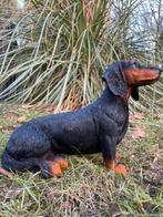 (Tuin)Beeld teckel, tekkel, hond, tuin, gazon 30 cm, Ophalen of Verzenden, Nieuw, Kunststof, Dierenbeeld