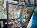 Vogel kooi voor meedere parkieten incl assecoires, Ophalen of Verzenden, Gebruikt, Metaal, Vogelkooi
