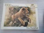 1000 stukjes puzzel leeuwen, Ophalen of Verzenden, 500 t/m 1500 stukjes, Zo goed als nieuw