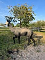 Alpaca hengt met witte zwarte en bruine stippen, Dieren en Toebehoren, Juni, Meerdere dieren
