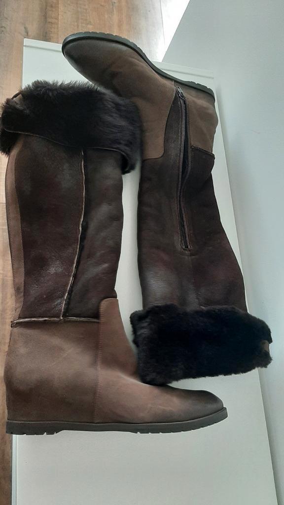 Di Lauro Laarzen Maat 40 - Zo goed als nieuw!, Kleding | Dames, Schoenen, Zo goed als nieuw, Hoge laarzen, Bruin, Ophalen of Verzenden