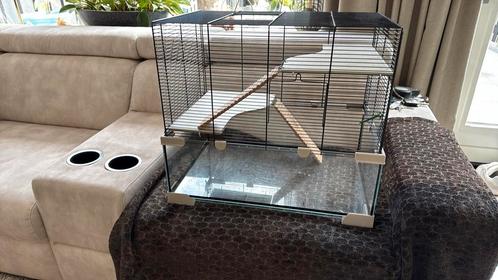 Hamsterkooi knaagdieren kooi dwerghamster, Dieren en Toebehoren, Knaagdieren en Konijnen | Hokken en Kooien, Zo goed als nieuw