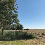 hooi, hooipakken, kleine pakjes, Ophalen, Vee