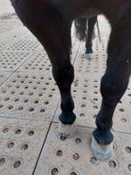 Mudmodder paddock platen voor droge paddock  A 22,72 excl, Dieren en Toebehoren, Stalling en Weidegang, Weidegang