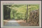 Chaam RCN De Flaasbloem Natuur Bos Boomstammen, Verzenden, 1980 tot heden, Gelopen, Noord-Brabant