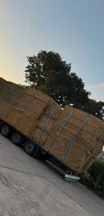 Stro strooisel tarwe stro lang stro gesneden stro gehakseld, Dieren en Toebehoren, Ophalen of Verzenden, Vee