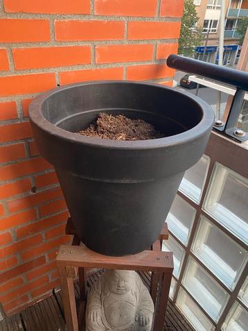 Grote plantenbak/pot beschikbaar voor biedingen