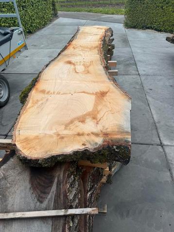 Zeer groot eiken schaaldeel 400x60x8cm beschikbaar voor biedingen