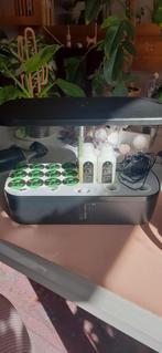 Hydrocultuur kweeksysteem 12 pods van Growboxcompany, Ophalen of Verzenden, Halfschaduw, Minder dan 100 cm